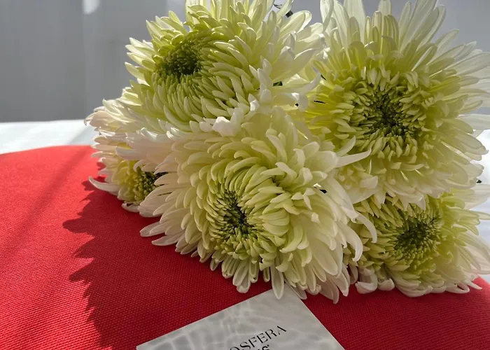 Отель Atmosfera *